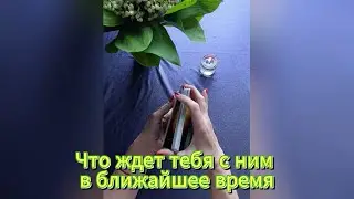 Что ждет тебя с ним в ближайшее время 🥰 ТАРО РАСКЛАД