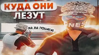 КУДА ОНИ ЛЕЗУТ? НОВАЯ СИСТЕМА ВС! ЧАЙНИК В ГОСКЕ! СМЕШНЯВКИ/ТУЛЕВО GTA 5 RP VINEWOOD. DOBERMAN❤️