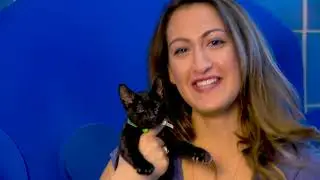 City of Austin Budget 2018