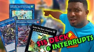 MY $15 BEETROOPER DECK AND COMBO