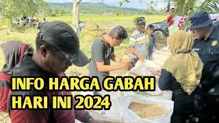 RESMI BERLAKU, HARGA GABAH NAIK RP1000 MULAI HARI INI !