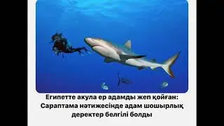 Адам шошырлық ақпарат #акула #жаңалықтар