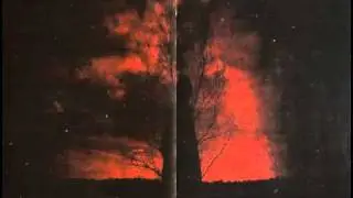 Grisâtre - II