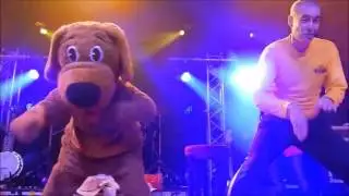 The wiggles 25th reunion show
