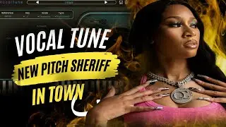 the Ultimate Vocal Pitch Plugin With A Punch  Tune Vocal Simple But Gold
