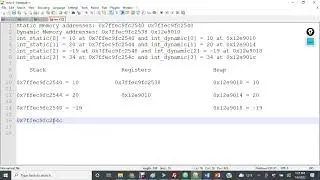 Visualize It - 6-4-1 - Static and Dynamic Memory Layout Example