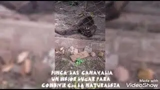 Finca La Canavalia, un lugar para estar en contacto con la Naturaleza