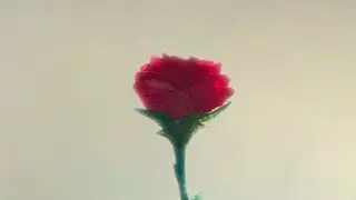 Depeche Mode - Enjoy The Silence '93 (Music Video)