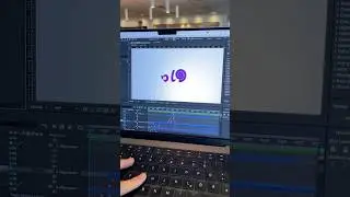 Carpet logo animation