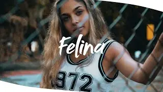 WIU & MC Ryan SP - Felina (Gabe Pereira Remix)