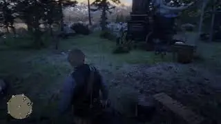 RDR2 кампания