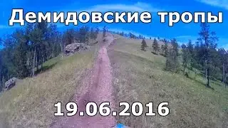 Демидовские тропы. г. Кыштым. 19.06.2016 (Open2)