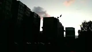 Осень/листья/радость