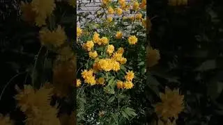 Краски осени!
