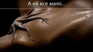 ХОЧУ ПОСТОЯННО И ВСЕГДА! ПРИЧИНЫ ПОВЫШЕННОГО ЛИБИДО У ЖЕНЩИН