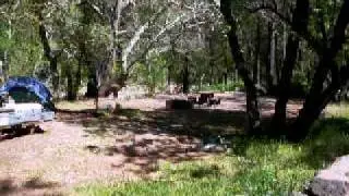 Manzanita Campground