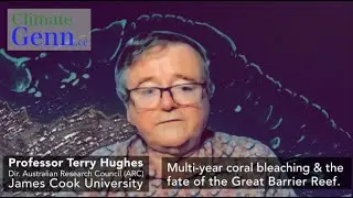 The Great Barrier Reef ahead of this summer - multi-year bleaching & the future- Prof. Terry Hughes