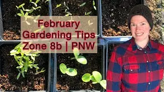 February Gardening Tips/Tasks and Seeds to Start | Zone 8b | PNW