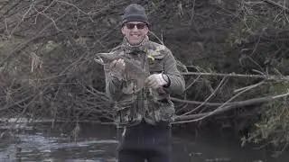 Trout fishing Tongariro