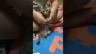 hele si mugi🤣napagtripan ni kenji ginawang baby