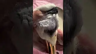 МЫЛО ДЛЯ ОЧИЩЕНИЯ МАКИЯЖНЫХ КИСТЕЙ
