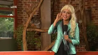Hanging With Adam & Naomi | Disney News Alert Koala Napathon