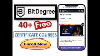 BitDegree Free Certificate Courses | 40+ Online Courses | SliceInfo