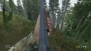 DayZ (STINKY BANITS), FACTION PVP SERVER, Base Building, Chill and Chat.