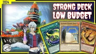 GUNKAN SUSHIP DECK LOW BUDGET VERSION | Gameplay AUGUST 2024 | Yugioh Duel Links