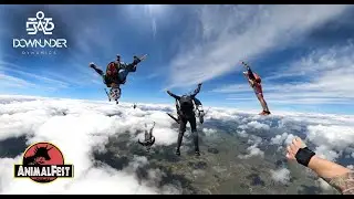 AnimalFest - Skydiving
