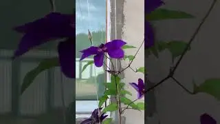16 июня 2023 г.