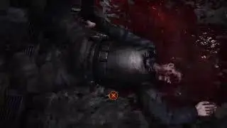 RE2 Revelations