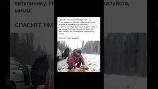 Внимание