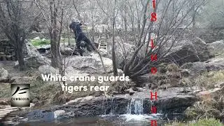 CHI WING CHUN; kung fu for life        Inspiration