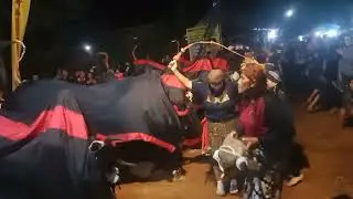 live bantengan gajah modo,, dadapan wajak???