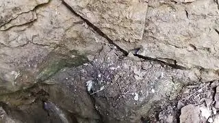Ловись рыбка на ятерь - свежая ❗