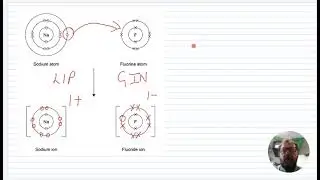 Atoms to Ions