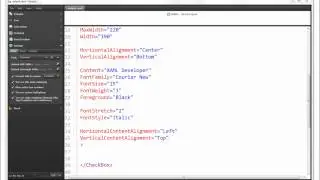 XAML Basic Course  : CheckBox