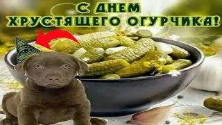 С днём хрустящего огурчика - это иллюминат