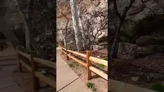 Visited the Montezuma Castle 