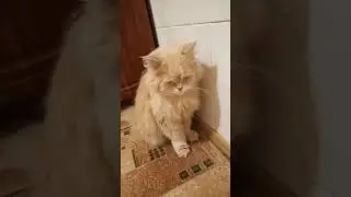 Придется мыться целиком 