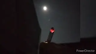 شيرين لازم أعيش - بطيء