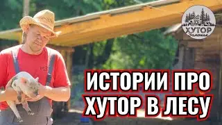 ЦВЕТЫ В ЛЕСУ, ОДИН ОГУРЕЦ И НАКОРМЛЕННЫЕ ПОМИДОРЫ.