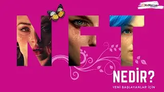 NFT Kripto Sanatı Nedir? NFT ile Dünyaca Ünlenen 3D Sanatçısı Beeple ile tanışın