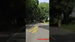 மதுரை ல இது எந்த இடம் ?? | #Enga_Madurai | எங்க மதுரை | #Madurai 😍😍😘😍 #Kochadai #High_way