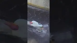 Australia's Spillway Waterslide
