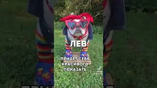 видео не моё/ #лето #ютуб #shorts #хочуврек #хештег #активприди