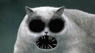 The Marvelous Misadventures of Flapjack All Cat Clips
