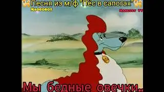 Мы бедные овечки ...🐑🐑 🎸🪕😁😁 Песенка Naoborot