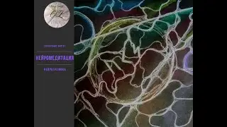 Нейромедитация.Тайная формула здоровья